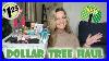 Large Dollar Tree Haul All New Amazing Name Brands