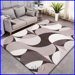 Large Living Room Rug Modern Carpet Hallway Runner Small Floor Mats Thick Rugs