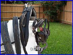 Nylon Webbing Cart Driving Harness Set Black Colour In All Sizes