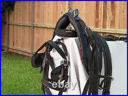 Nylon Webbing Cart Driving Harness Set Black Colour In All Sizes