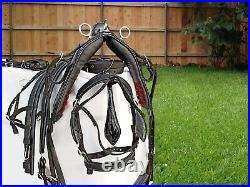 Nylon Webbing Cart Driving Harness Set Black Colour In All Sizes